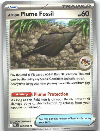 Antique Plume Fossil