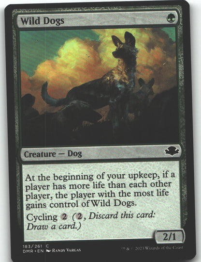 Wild Dogs