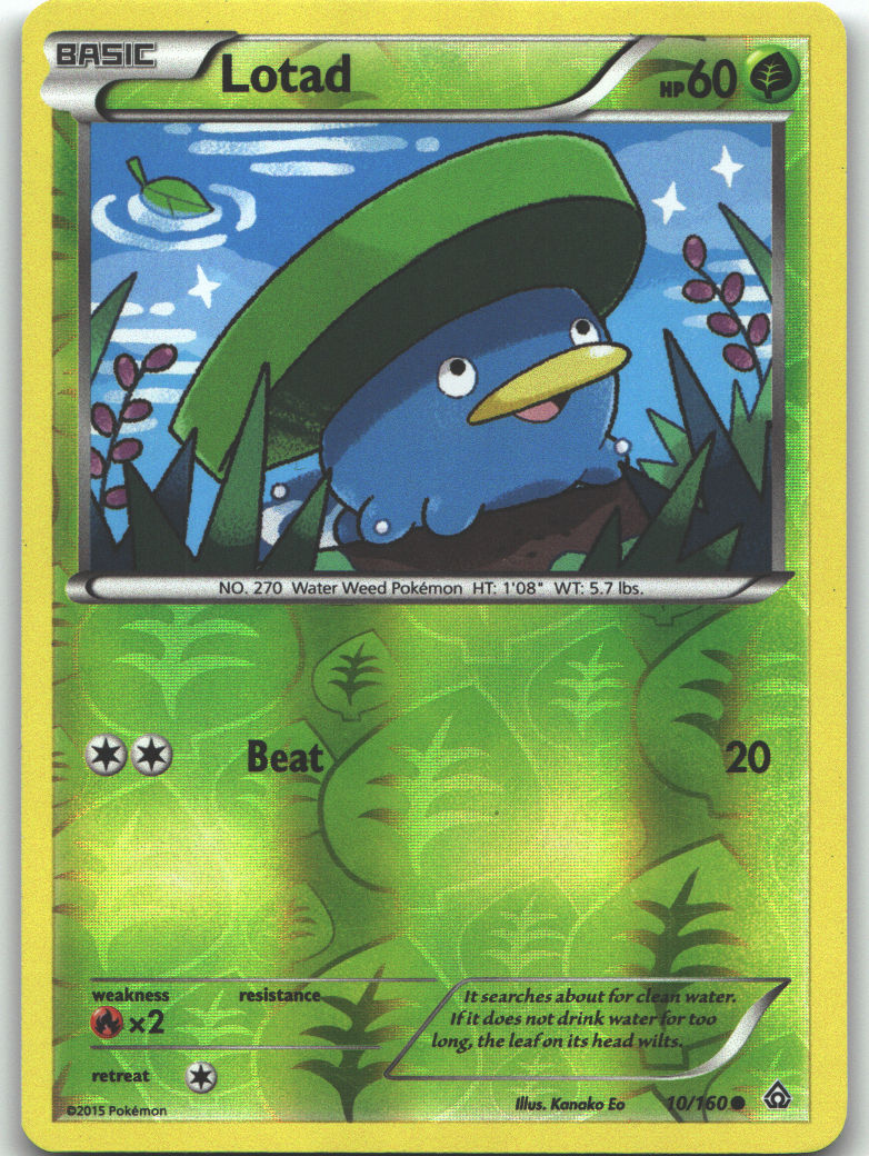 Lotad