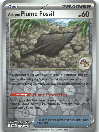 Antique Plume Fossil