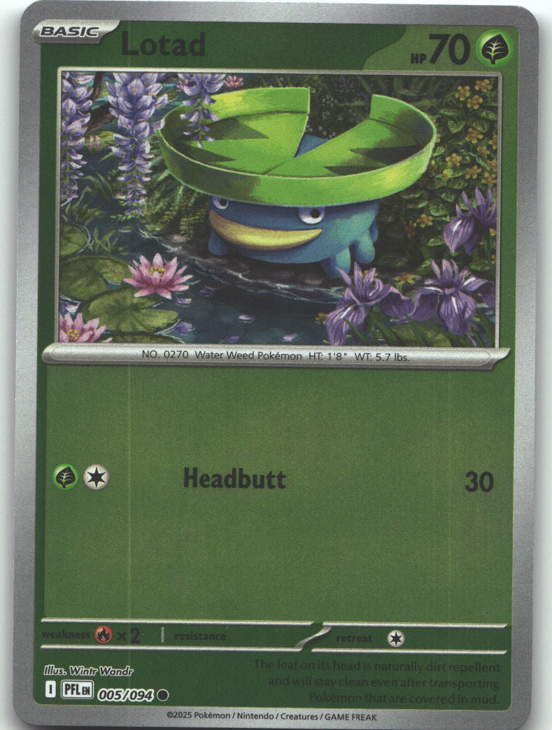 Lotad