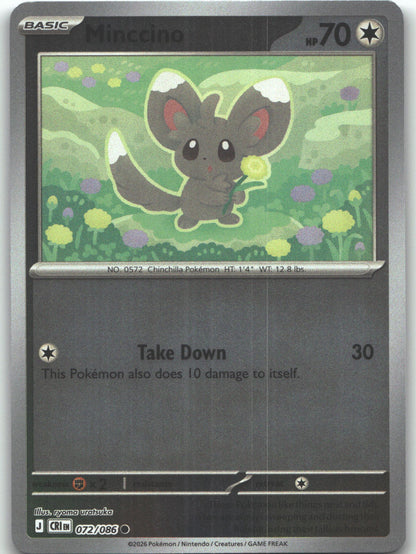 Minccino