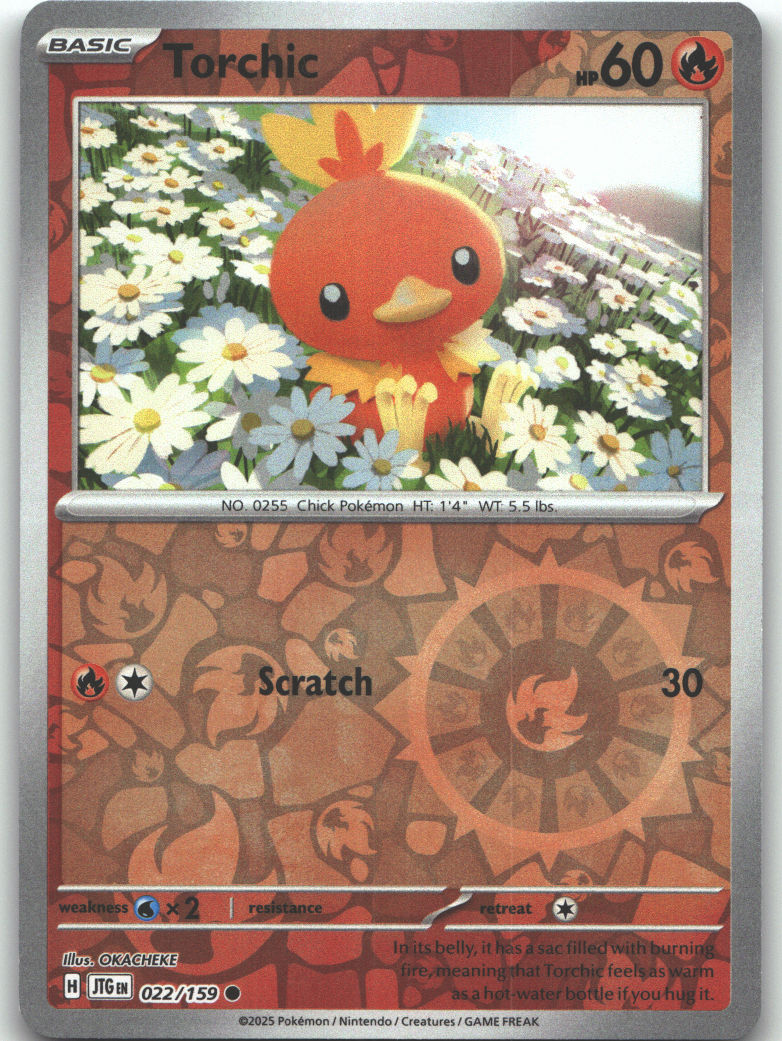 Torchic