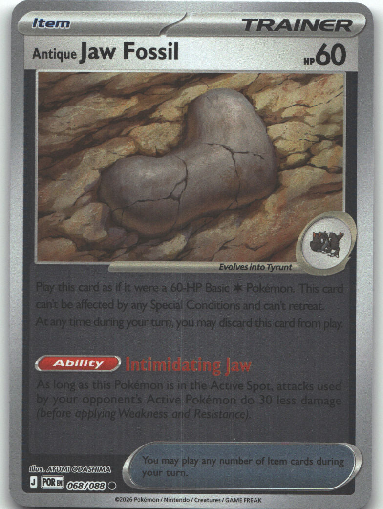 Antique Jaw Fossil