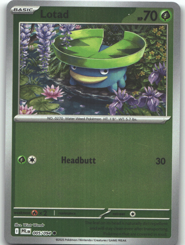 Lotad