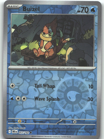 Buizel