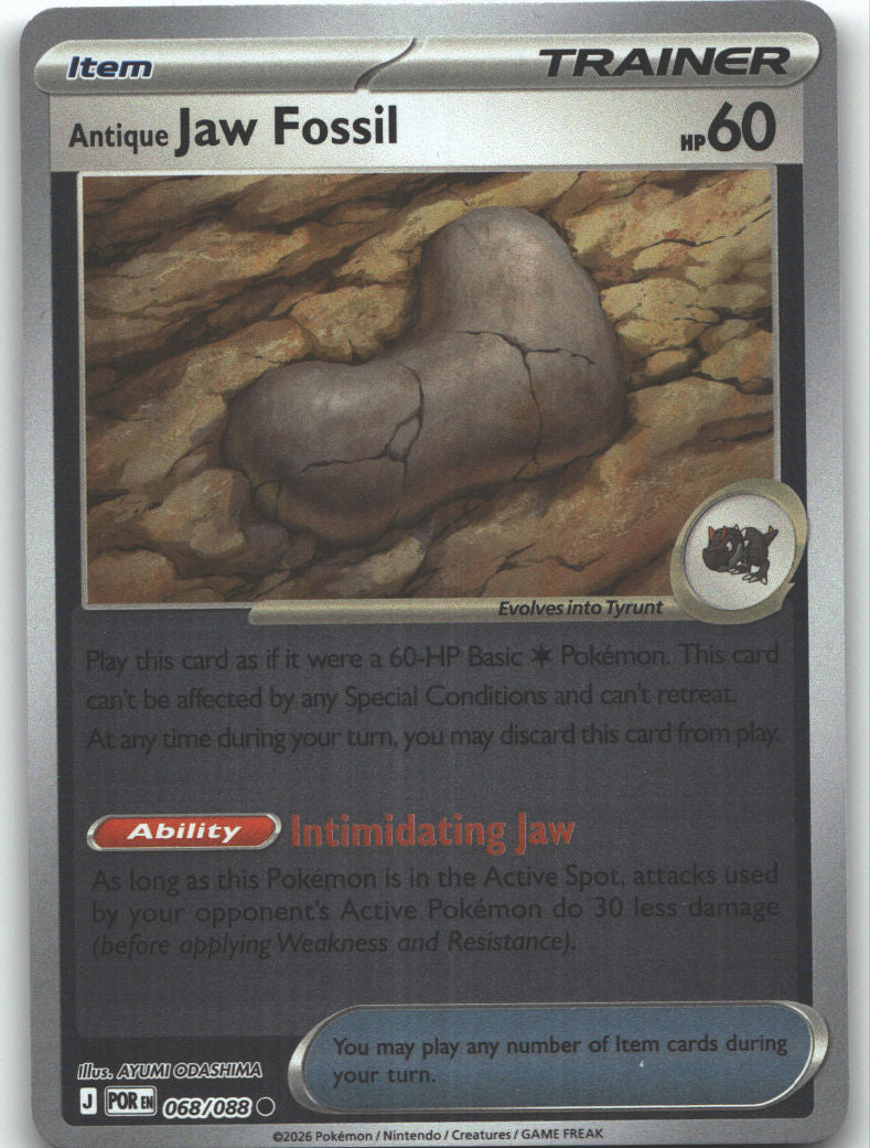 Antique Jaw Fossil