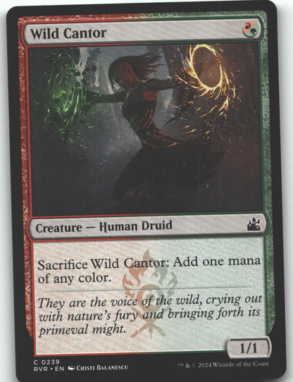 Wild Cantor
