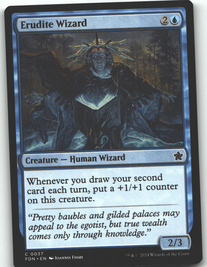 Erudite Wizard