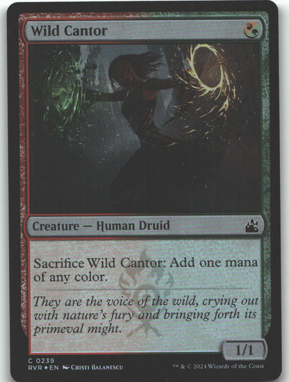 Wild Cantor