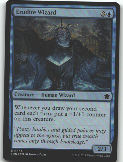 Erudite Wizard