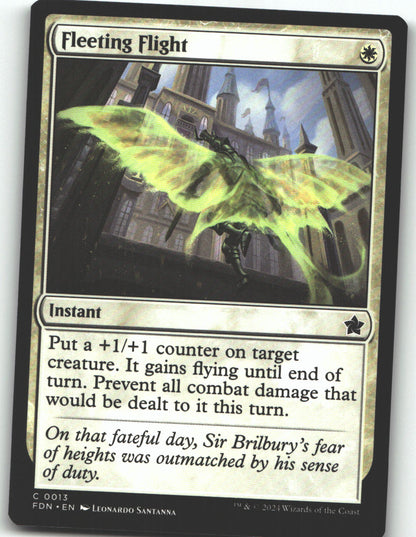 Fleeting Flight