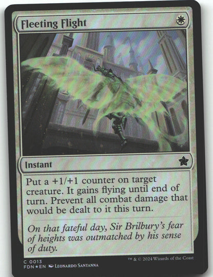 Fleeting Flight
