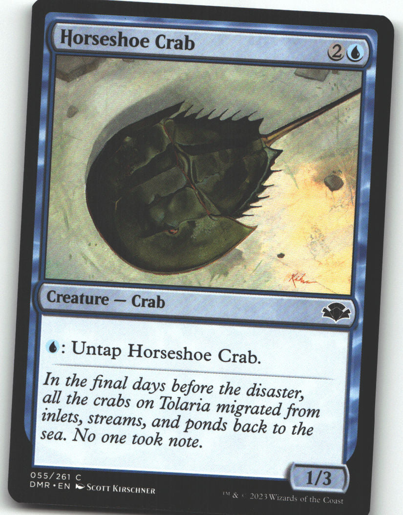 Horseshoe Crab