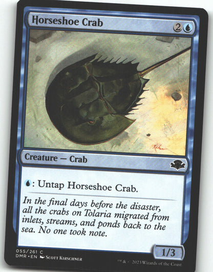 Horseshoe Crab