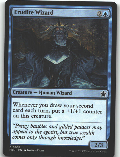 Erudite Wizard