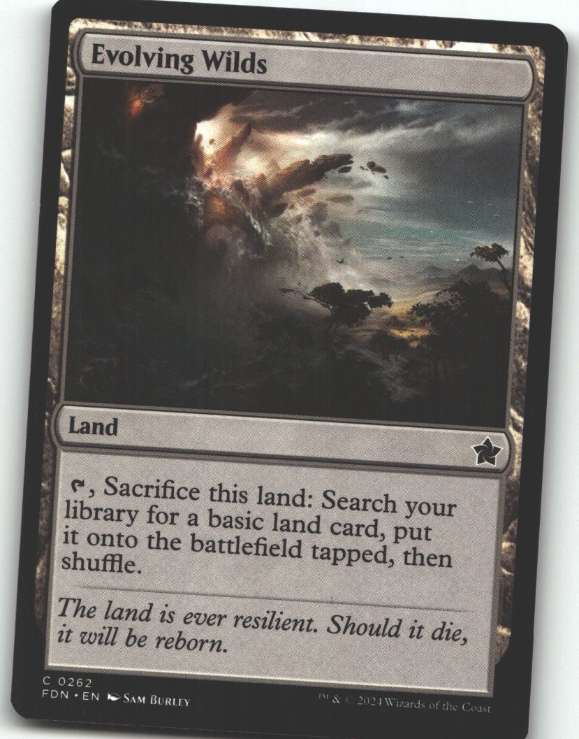 Evolving Wilds