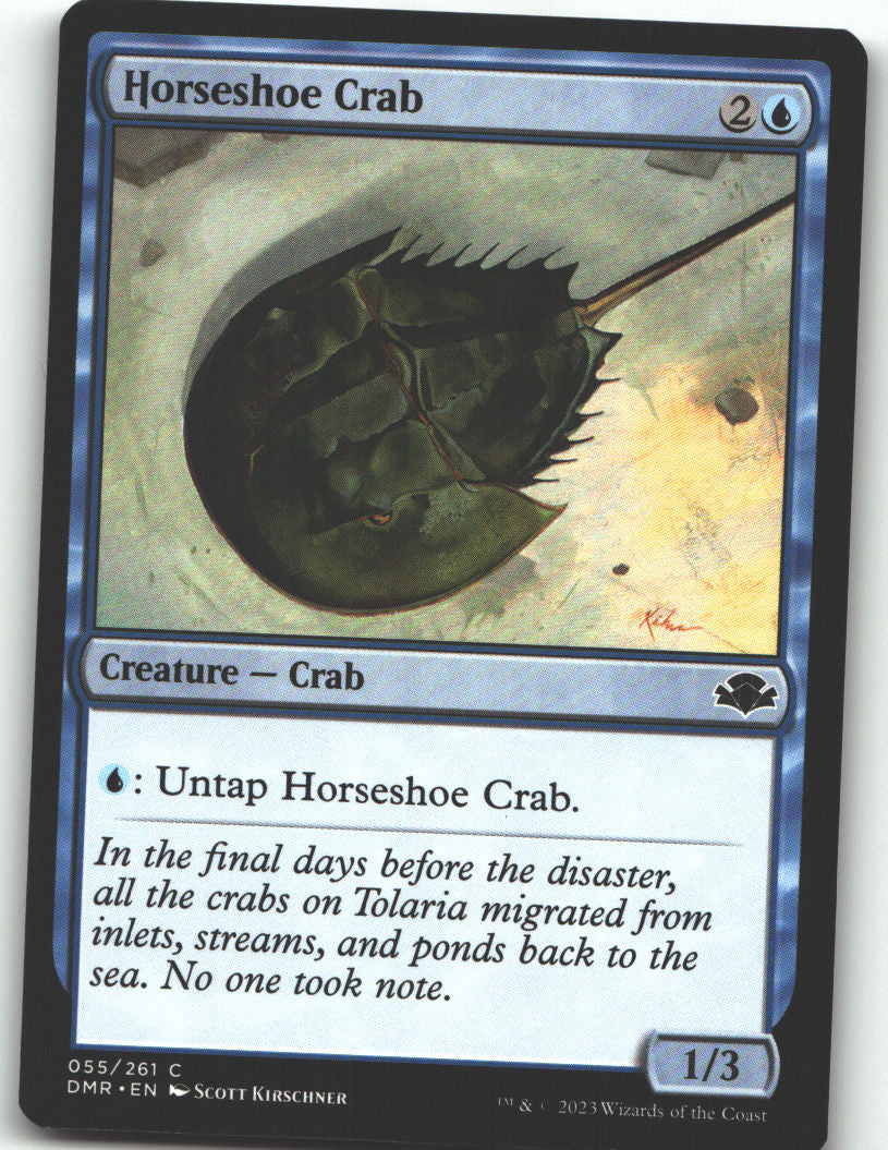 Horseshoe Crab