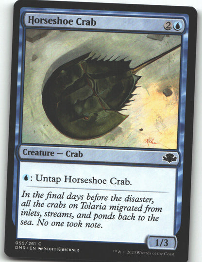Horseshoe Crab
