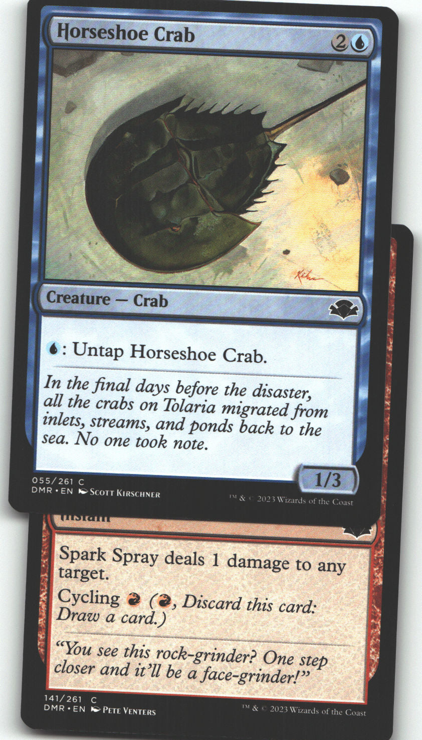Horseshoe Crab