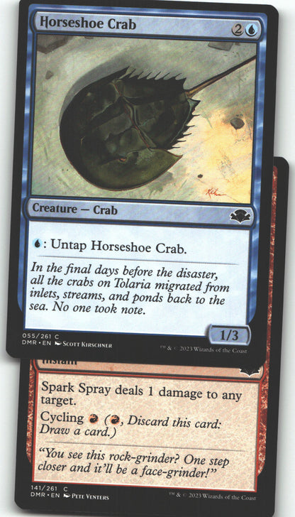 Horseshoe Crab