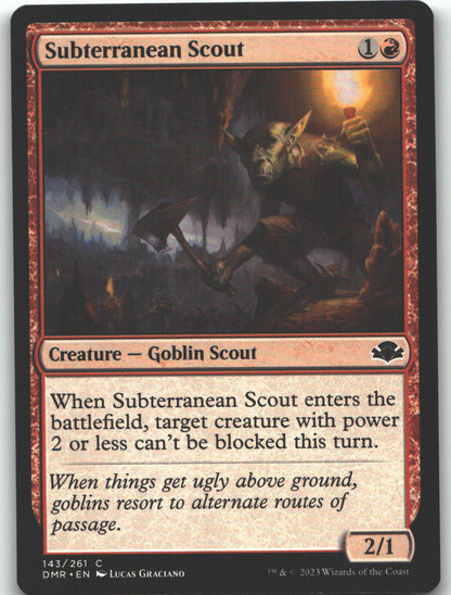 Subterranean Scout