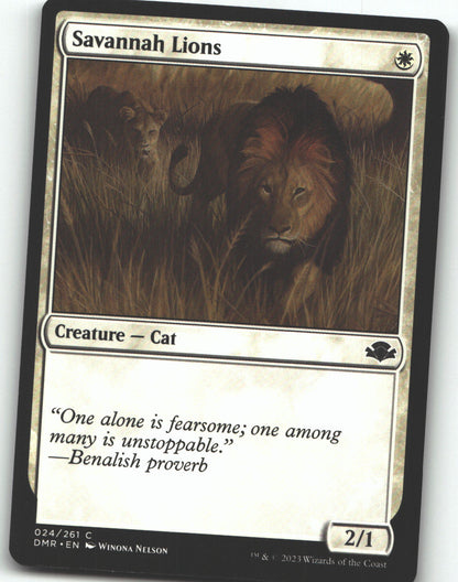 Savannah Lions