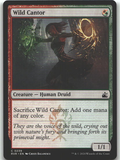 Wild Cantor
