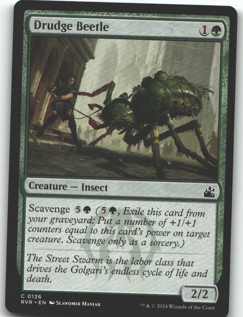 Drudge Beetle