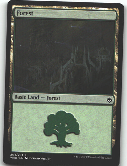 Forest (264)
