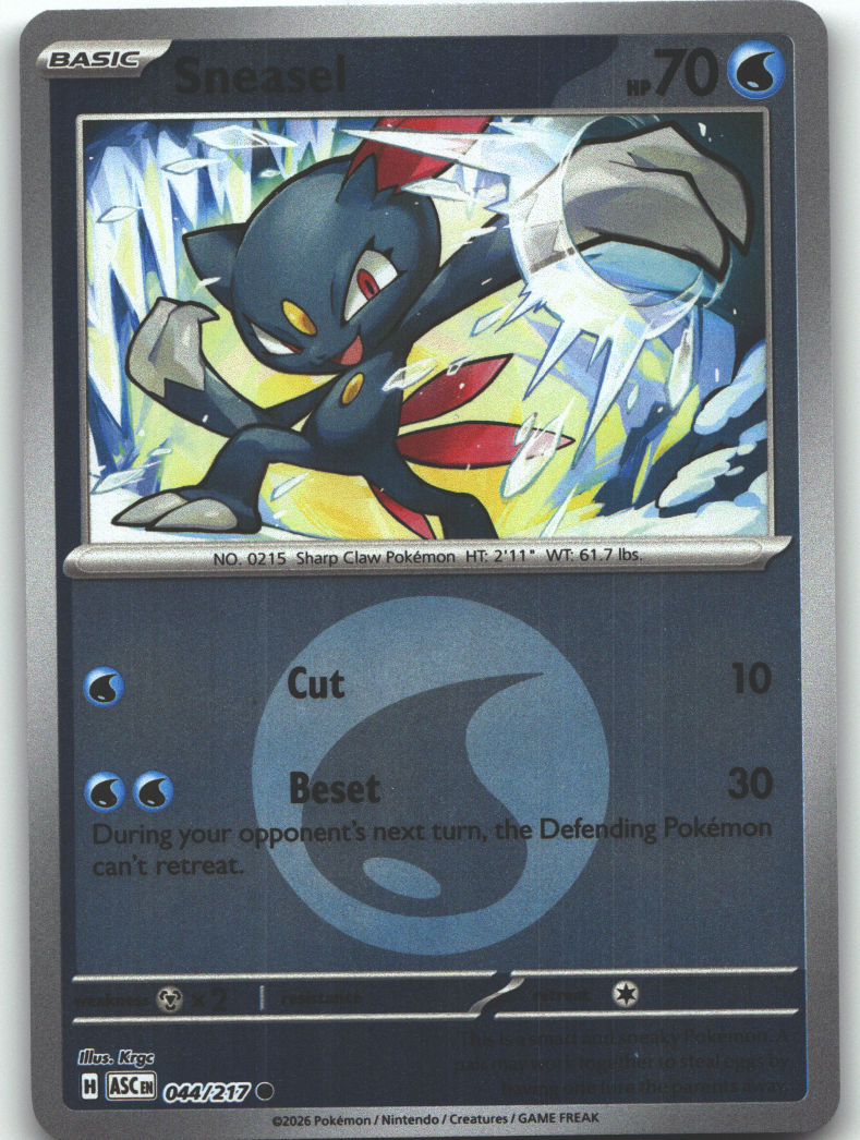 Sneasel (Energy Symbol Pattern)