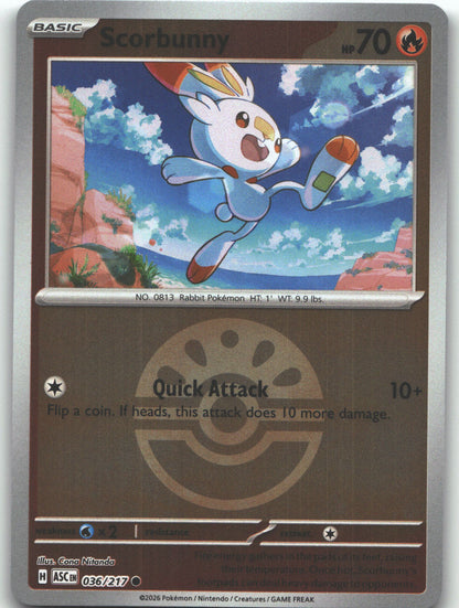 Scorbunny - 036/217 (Friend Ball)