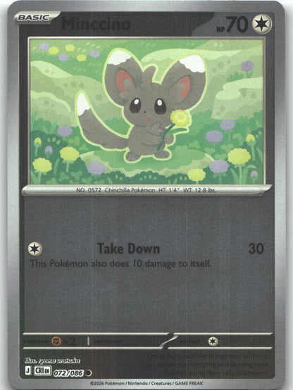 Minccino