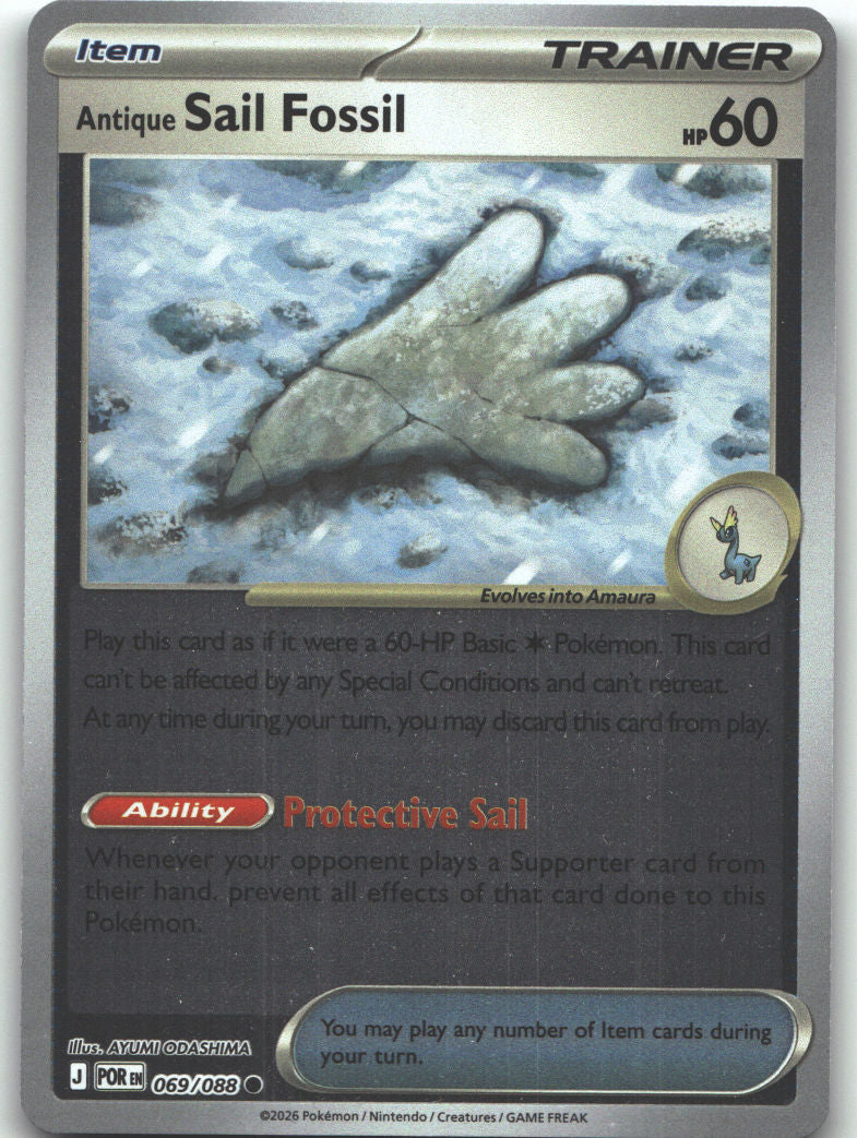 Antique Sail Fossil