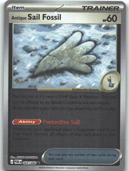 Antique Sail Fossil
