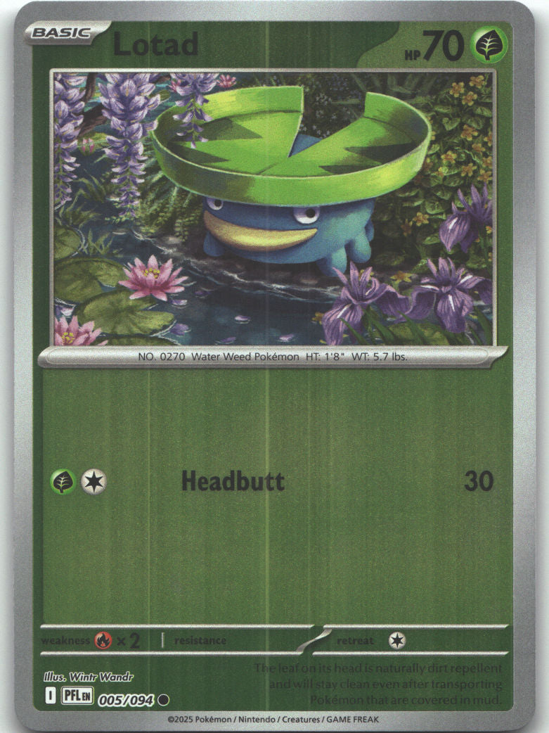 Lotad