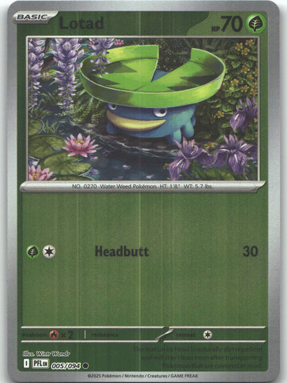 Lotad