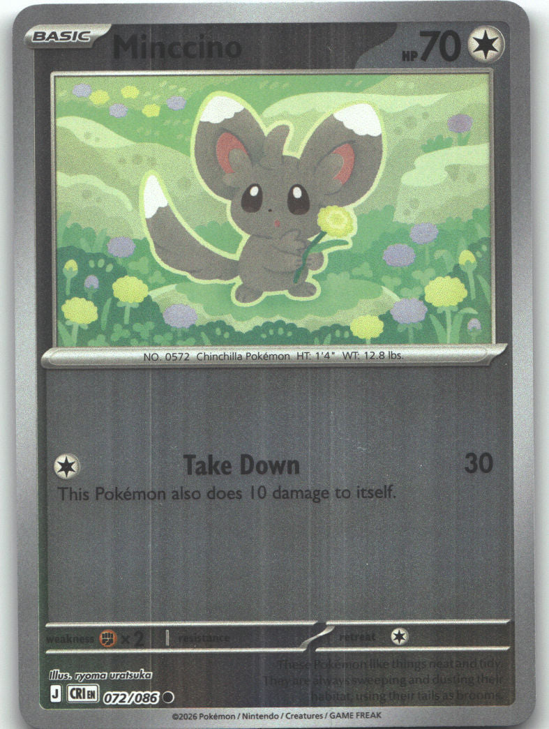 Minccino