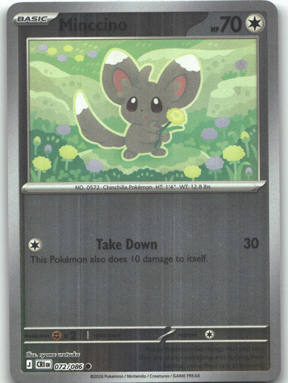 Minccino