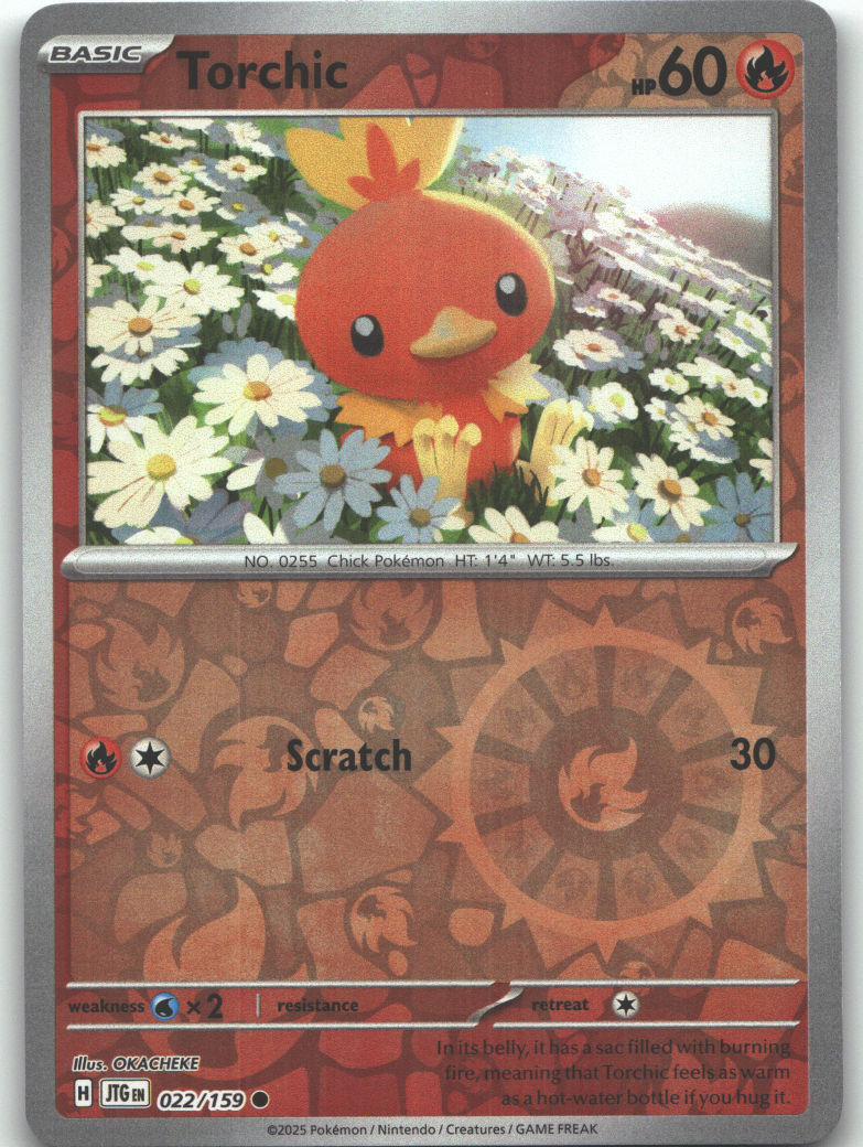 Torchic