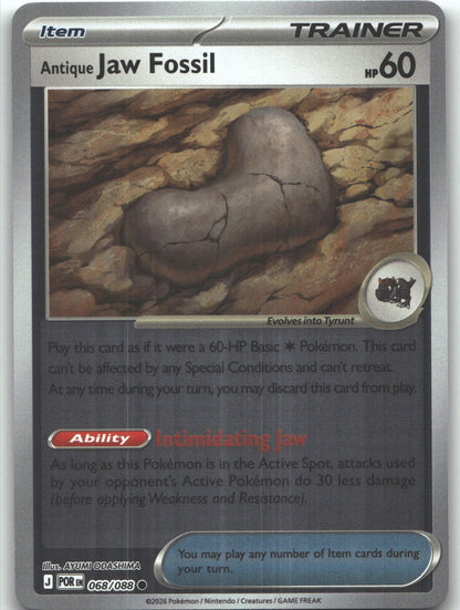 Antique Jaw Fossil