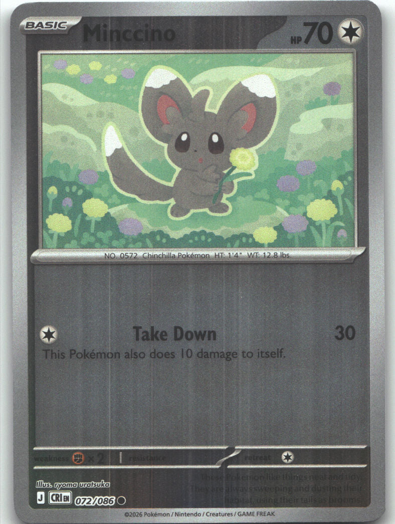 Minccino