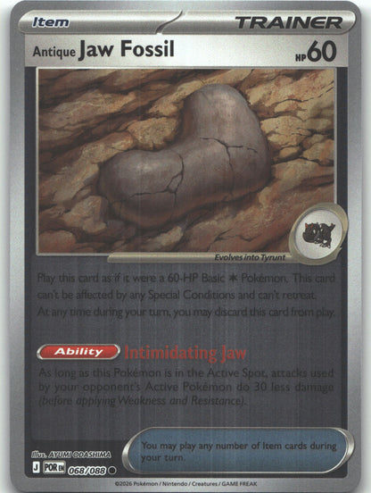 Antique Jaw Fossil
