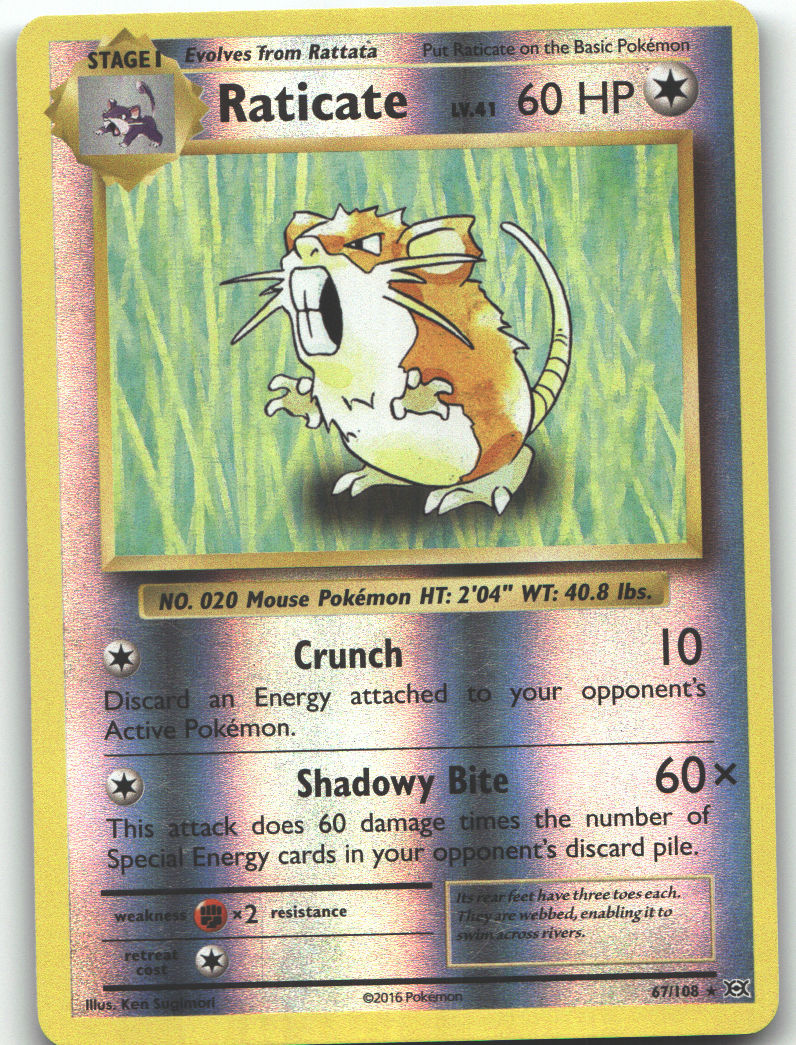 Raticate