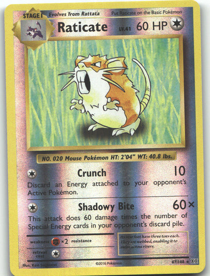 Raticate