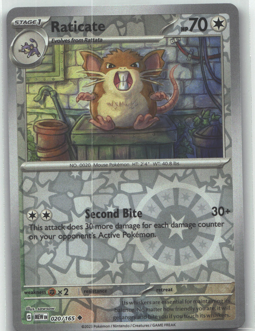 Raticate