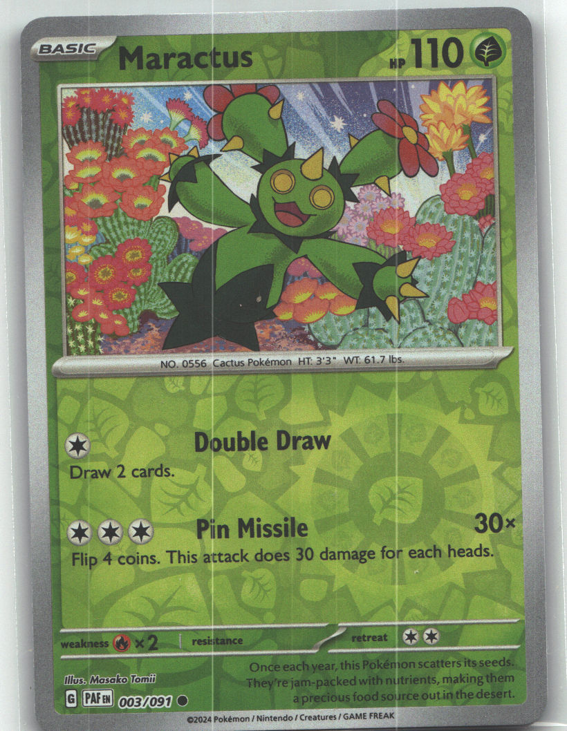 Maractus