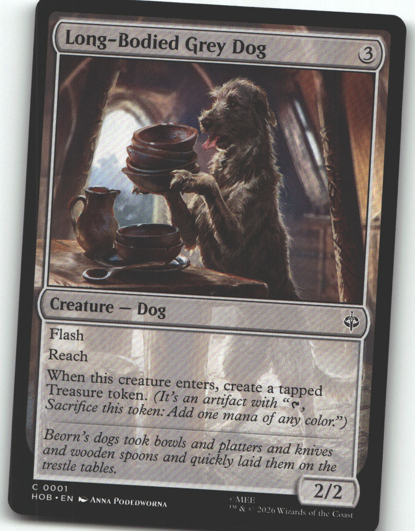 Long-Bodied Grey Dog