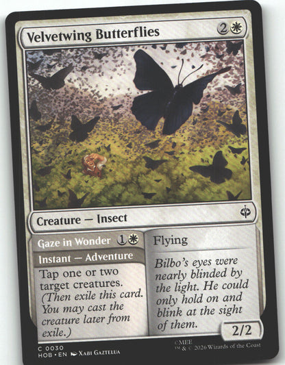 Velvetwing Butterflies
