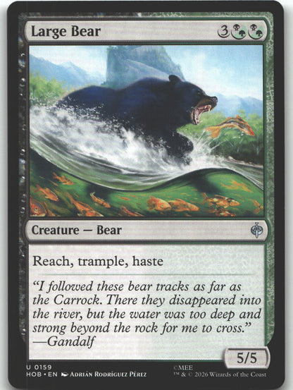 Large Bear